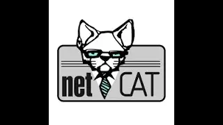 Ten Minute Tutorials : Netcat Basics