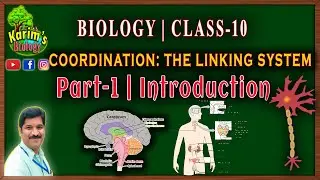Coordination: The linking system Part-1 | Class 10 Biology | State and CBSE #apdsc2024 #sabiology