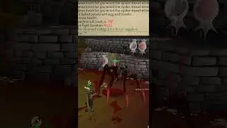 Killing Sarachnis Every Day Until Pet! Day 4 #osrs #osrsshorts