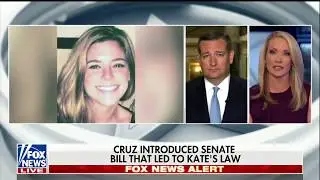 Ted Cruz: Kate Steinle Would be Alive if 'Kate's Law' Was Enacted