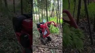 Efficiently Chip Any Wood with Our Robust Wood Chippers.#woodchipper #machinery #farmer #dawnagro