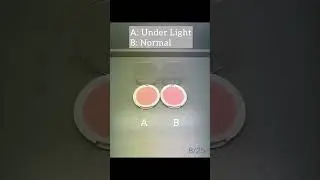 Quality You Can See &mdash; Doriff Color Fading Test