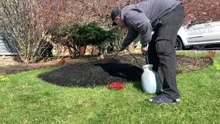 Mulch Worx Black Mulch Colorant