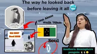 Southern hemisphere penguin 🐧 dead 😢💔 #deaf #video 