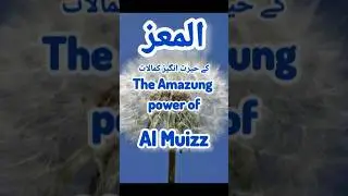 یہ عزت کہاں سے ملتی ہے؟ | The Secret Behind True Honor