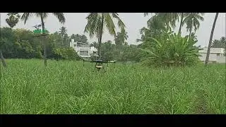 Herbicide Spraying using Drone