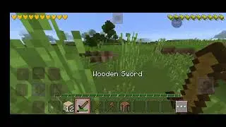 *PHELI* Bar MINECRAFT KHELA | BEGAN GAMER PAKISTANI  