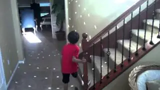 Sunlight Mirror Ball