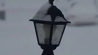 Canon R50 V Snow Test | Indiana Winter &bull; C-Log 3 Real-World Footage