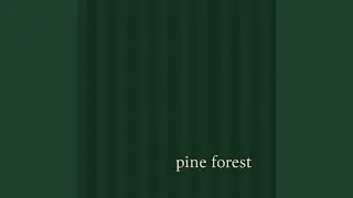 pine forest