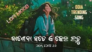 ɴᴀʟɪ ɴᴀʟɪ ᴛᴏ ᴄʜᴇʜᴇʀᴀ ❤️ Odia Romantic Song | Lofi Love Status | #lofimusic 