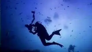 Underwater Photo Contest