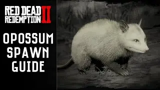 Red Dead Redemption 2 - Virginia Opossum Location | Master Hunter 9 (RDR2)