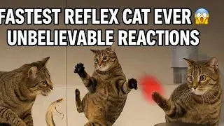 Fastest Reflex Cat Ever! 🐱💨 Unbelievable Reactions!