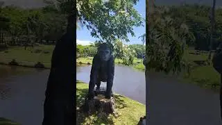 Dinomagic parque de diversiones beto carrero wold #tiktok #disney #nature #funny