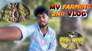 MY FARMING 2nd VLOG 🥔🥔 || मेरा खेती वीडियो || #realfoolsteam #vlogerajeet #surajroxcomedy #adpvlog