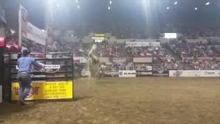 Tooke Bucking Horses - Craig At Midnight vs Blake Smith