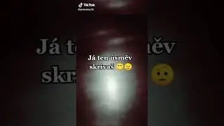Bobby Blaze, Rey & Prince Mari&aacute;n - Ty si to vedela (Text) Remix