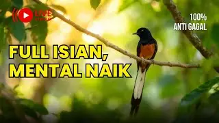 🔴LIVE 28 -  Murai Batu Bongkar Isian – Dijamin Kepancing