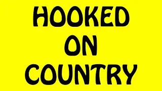 TENNESSEE COUNTRY ORCHESTRA - HOOKED ON COUNTRY