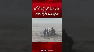 People stuck in the Floodwaters of the Swat River | Hum News #sawatriver #humnews #breakingnews