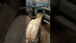 Raw Jute Processing Jute Spader#Shorts