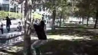EXC355UM's Tree Skills