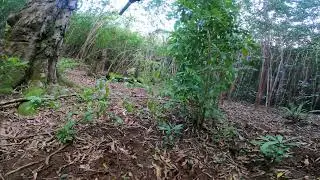 Marlin 1895 SBL 45 70 first shot