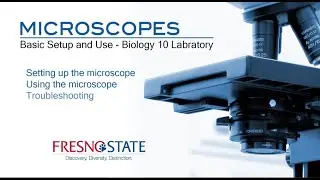 EXP 1: Basic Microscope Setup and Use 1/4