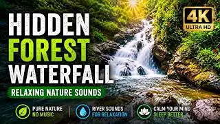 Hidden Jungle Waterfall 🌿 Relaxing Nature Sounds for Sleep, Study & Meditation