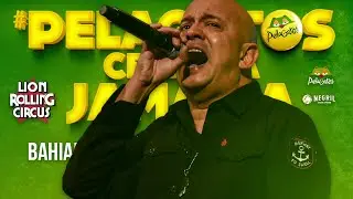 Bob Marley & The Wailers - Crazy Baldhead - Bahiano - PelaGatos Celebra Jamaica - Reggae 13/16