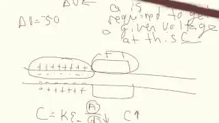 Action potential Velocity