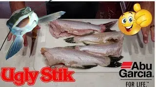 2018 Catfishing | How To Catch, Clean, and Cook