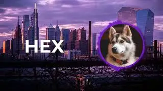 Amadeus - Legendary [HEX Promotion]