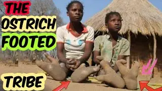 THE OSTRICH FOOTED TRIBE OF AFRICA, VADOMA TRIBE