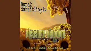 Pleasure Kingdom (Original Mix)