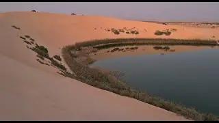 Sunset Adventure: Exploring Yellow Lake Oasis in Saudi Arabia  - Adventures & Nature