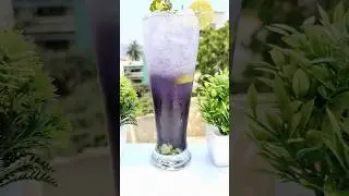 Black Currant Mojito #shorts #mocktail #reels #viral #trending #youtubeshorts