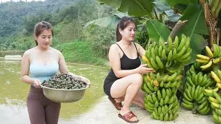 How To Make Handmade Tofu - Harvest Banana, Snails, Bamboo Shoot - Catch Crab Go To Country Sell