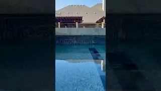 Creative Pool Tile #poolbuilder #poolconstruction #pooltile #custompool #gunitepools #wacotexas