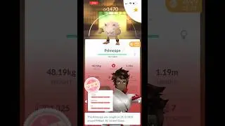 #hundo  #Primeape! Now is your time to evolve to #annihilape #pokemongo #pokemon