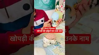 All Skull Bones | खोपड़ी की सभी हड्डियाँ कैसी और कहाँ होती हैं एवं उनके नाम #viral #shorts