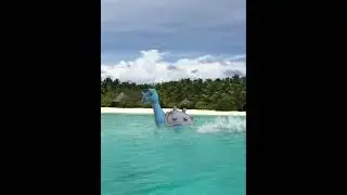 Lapras Pokemon Sailing in the ocean in real life #pokemon #lapras #shorts #real