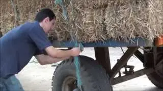 unloading straw for the cow cubicles
