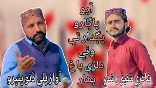 AAYO PAGARO PAGDAR THI WAYI DILRI BAAGH BAHAR 