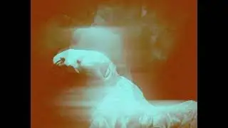 Glazyhaze - Ecstasy of the Weak (6 ytra remix)