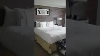 Warwick Denver Junior Master suite!