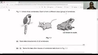 Unit 1- Classification- Past paper questions- IGCSE (0610)