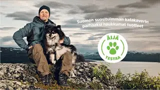 Äijä testaa: Herkut