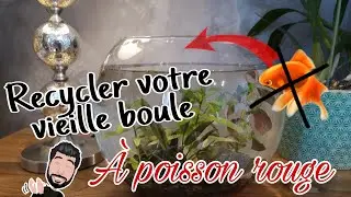 [TUTO] Recycler votre vieille boule à poisson rouge